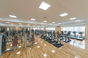 Training Park (gym)